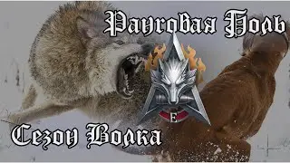 Натиск - Сезон Огненного Волка | Путь из Серебра в Золото (в Дебютанты)