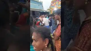 🎪🌋எங்கள் ஊர் பெண்கள் தேர் இழுக்கும் விழா🎇🎆 #kaviquill #thiruvizha #amman #video