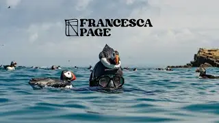 Award-winning Wildlife Artist, Photographer and Ocean explorer Francesca Page
