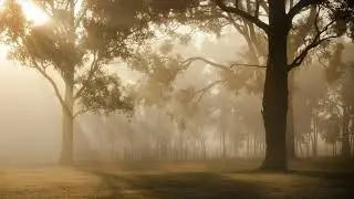 sunrise 4k HD | hd non copyright video