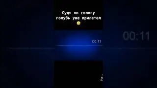 Судя по голосу, голубь уже прилетал🤣🤣🤣| #shorts #приколы #лучшиеприколы