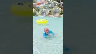 Blue and Orange Slide! #blippi #shorts