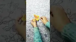 Butterfly Diy