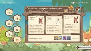 Genshin Impact Challenge - Reflection Gliding Over the Starry Lake