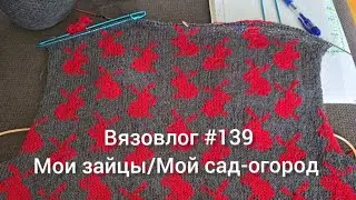 Vyazovlog 