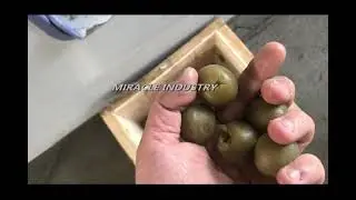 palm dates pitting seeds removing machine