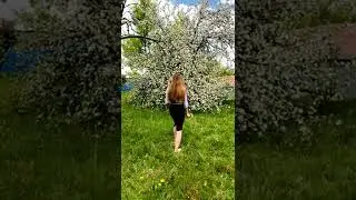 📖приповісті📌