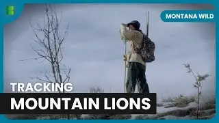 Crafting Arrows in the Wild - Montana Wild - Documentary
