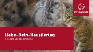 Zum Liebe-Dein-Haustiertag am 20.02.2023