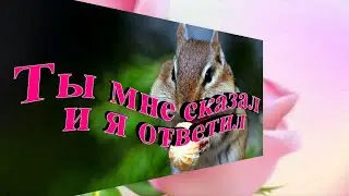 Ты мне сказал и я ответил - песня удалена по жалобе Натальи Литвиненко-Братниченко