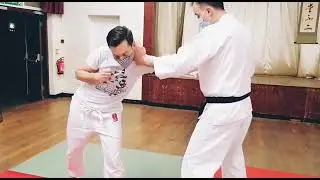 Katate Maki nuki. Shorinji kempo orange belt technique 4kyu.