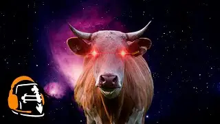 Коровий уровень. Обзор демо-версии Moo Lander