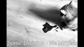Sonic Division - Ne Mrutsh