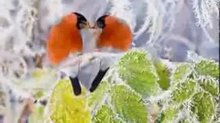 Помни только хорошее (А.Домогаров и И.Слуцкий)