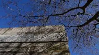 Museu de Arqueologia D. Diogo de Sousa