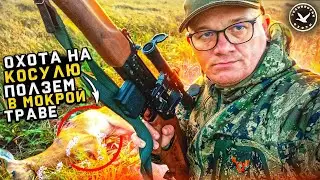 Охота на косулю. Ползём в мокрой траве