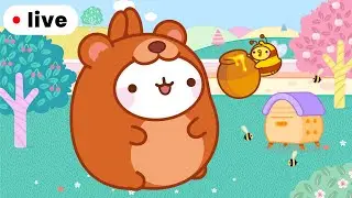 Molang and Piu Piu are tasting Delicious Honey 🐝🐻 | Live For Kids 🔴
