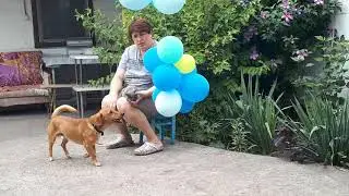 Я РАСТУ НЕ ПО ДНЯМ А ПО ЧАСАМ