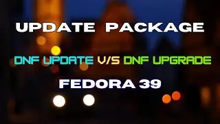 Fedora Package Manager | Correct way to update software in Fedora - tips and tricks