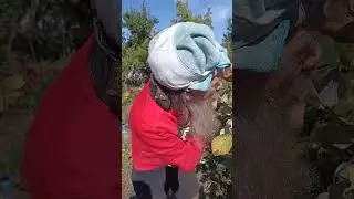 #витямитя