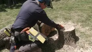 PA Training  