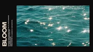 Calvin Harris Type Beat 