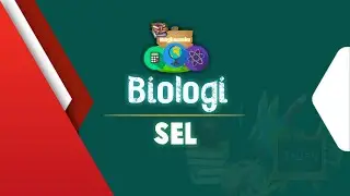 Sel || Bagian Sistem Organisasi Kehidupan [ Part 2 ]