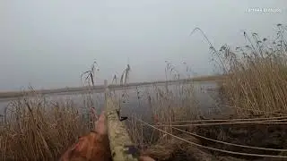 ОХОТА на УТКУ 🦆🦆🦆ДЕКАБРЬ 2022!  #охотанаутку#охотасчучелами
