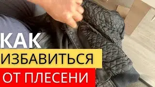 Избавься от плесени, грибка на коже за секунды! Доступный способ ухода за любыми кожаными изделиями
