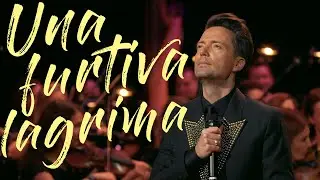 Антон Сергеев — «Una furtiva lagrima»