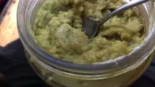 First Delicious Taste Test Of Fresh Harvested Avacado Guacamole Wild Fermented Salt Brine Preserve