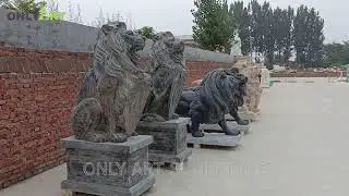Marble seated lion sculptures