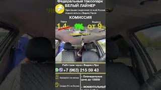 Молодой воришка в машине 