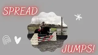 Spread Jumping!  (Excited Horse-Funny)