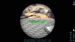 Ark