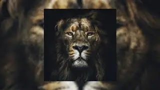 Khan - Lion