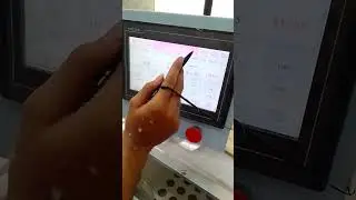 mesin isi bulu bebek