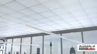 Architectural LED Linear Fixture with Up/Down Light | PLT PremiumSpec