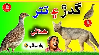 Sindhi Kahani | گدڙ ۽ تتر جي ڪھاڻي | New Sindhi Story | Aazad View