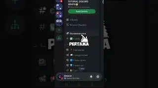 discord trik 