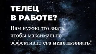 Деловые качества Тельца 
