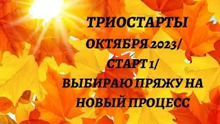 ТРИОСТАРТЫ ОКТЯБРЯ 2023/ СТАРТ 1/ ВЫБИРАЮ  ПРЯЖУ НА НОВЫЙ ПРОЦЕСС