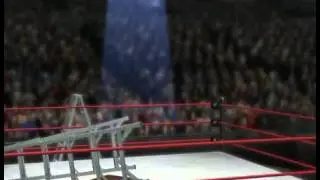 AJ Lee top rope spear through table