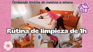 LIMPIEZA del hogar en 1 HORA✨