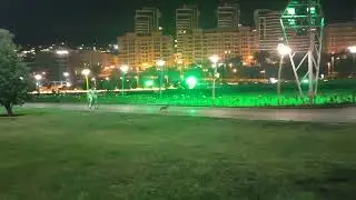 Лиса на Бакинском Бульваре 