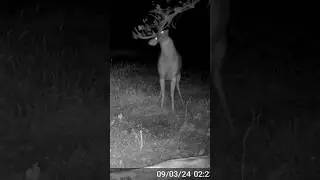 If this doesn’t get you fired up, there’s something wrong with you 🤘🏻 #deerhunting #bowhunting