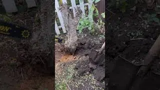 Отдыхаем после кубанской дачи😅👍