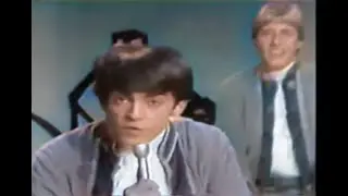 NEW 📀 Kicks - Paul Revere & The Raiders  {Stereo} 1966