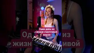Моя песня Один день из жизни счастливой кошки #вживую #piano