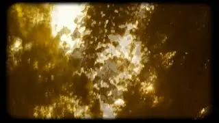 Lota - Genuflexus